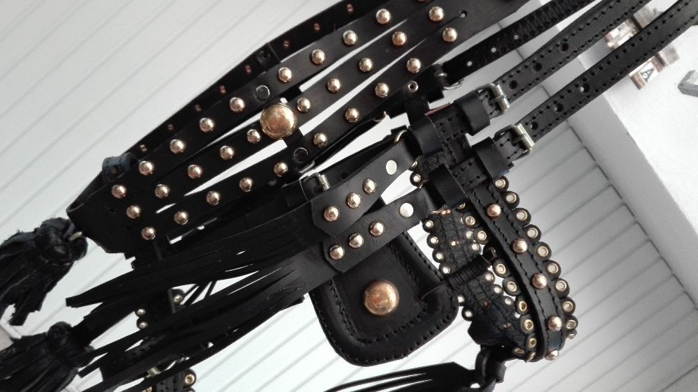 capici-cu-salba CAL/MAGAR/PONEI | set premium ... ⟣GARANTIE ⁴⁸