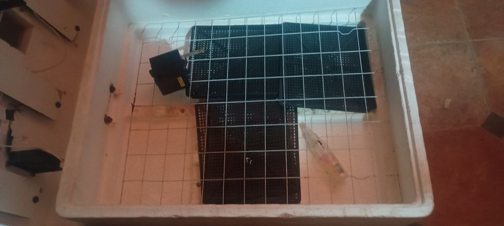 Инкубатор несушка би-104