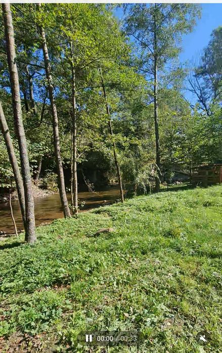 Teren pensiune/cabana  intravilan 4000 mp Bulz