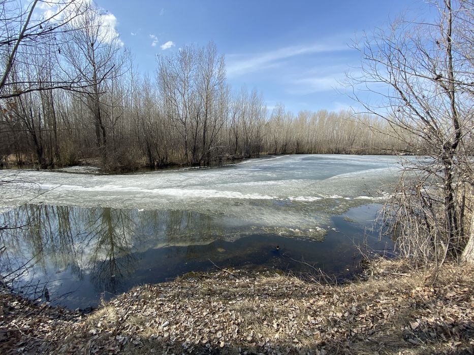 Дача на Орленке.