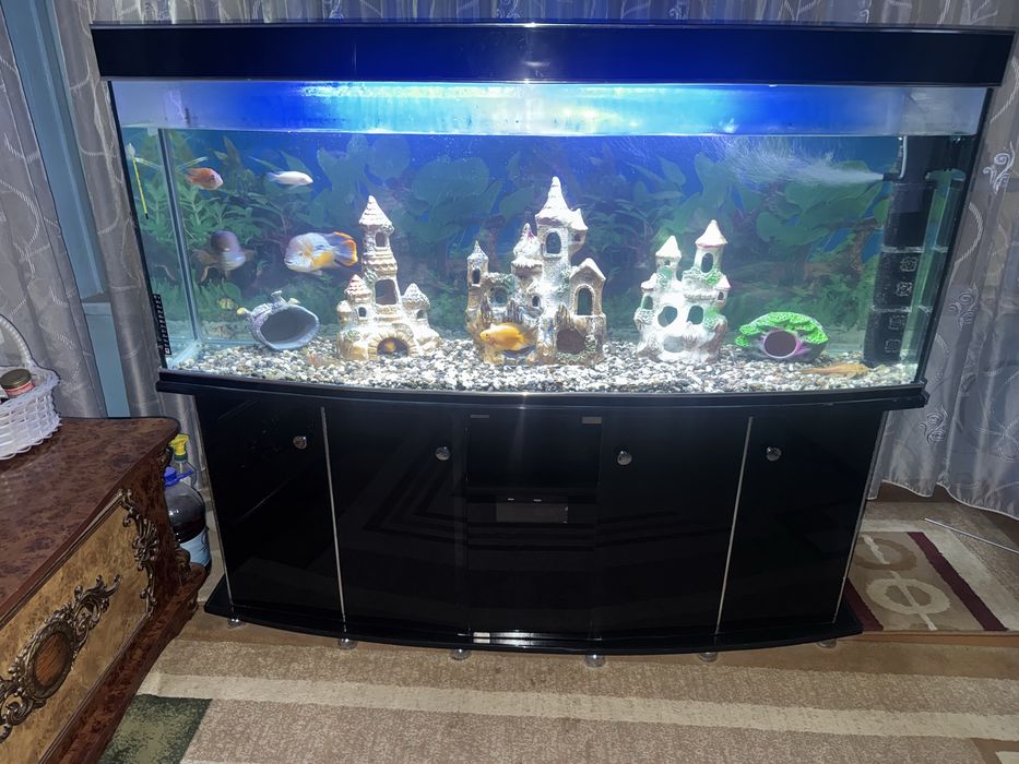 Akvarium 500 litr