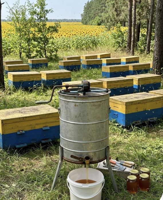 Продажа готового бизнеса( пасека) или обмен.