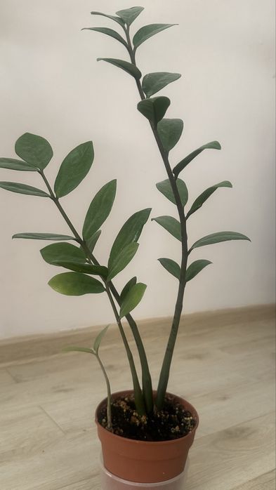 Срочно, все за 20 тыс. тенге