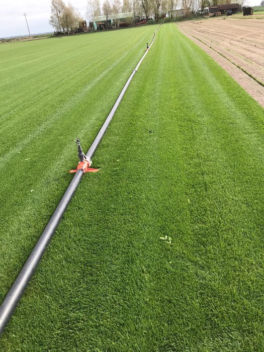 Rulouri gazon natural montaj rapid