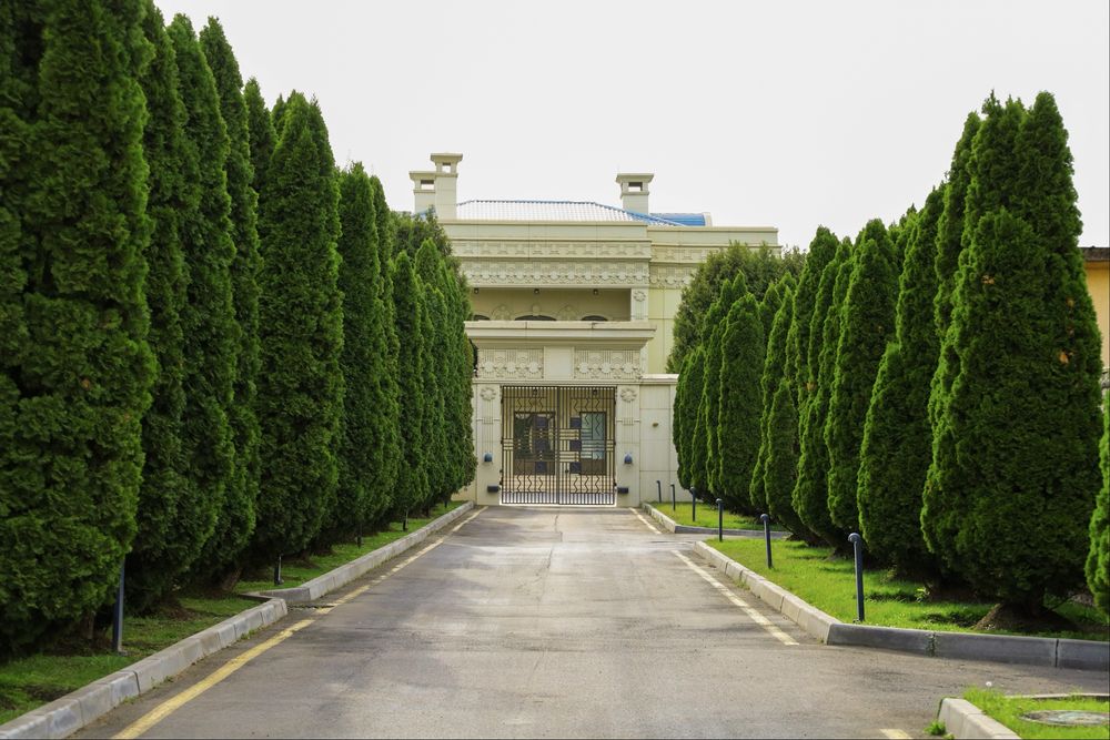 Камера Canon eos rp