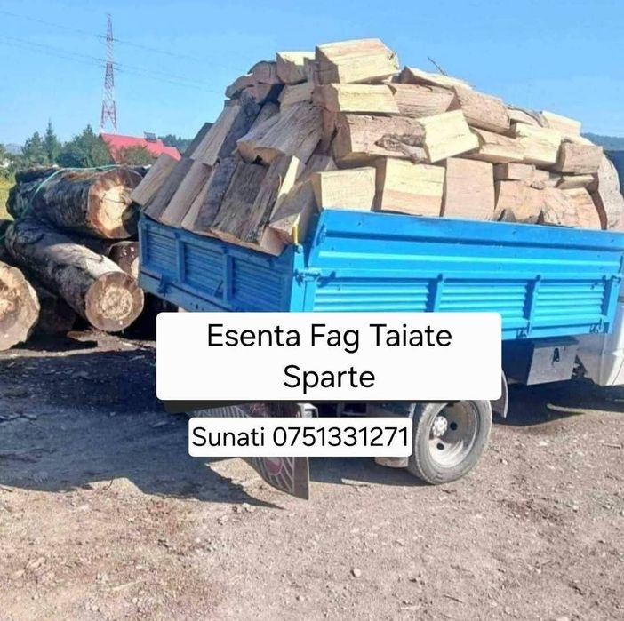 Lemne de foc fag