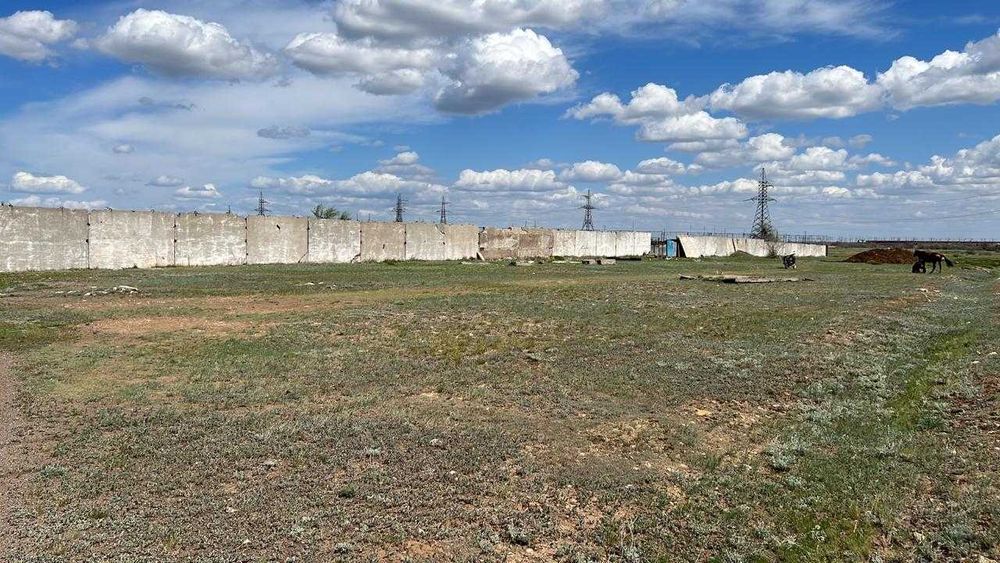 Продам действующую ферму