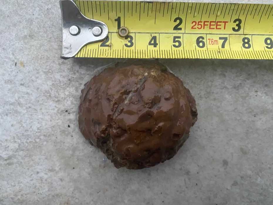 Thunderegg Oregon SUA 3 agate