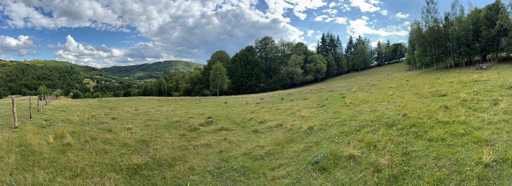 Teren de vanzare intravilan | Intorsura Buzaului