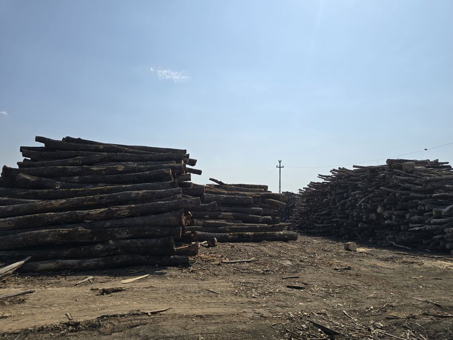 Lemn de foc uscat chiutuci sau sparte