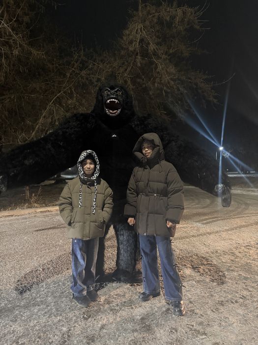 АНИМАТОР / Горилла/ Кинг конг