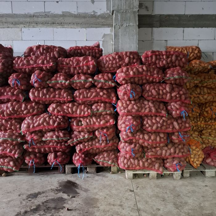 Cartofi de consum alb si rosu