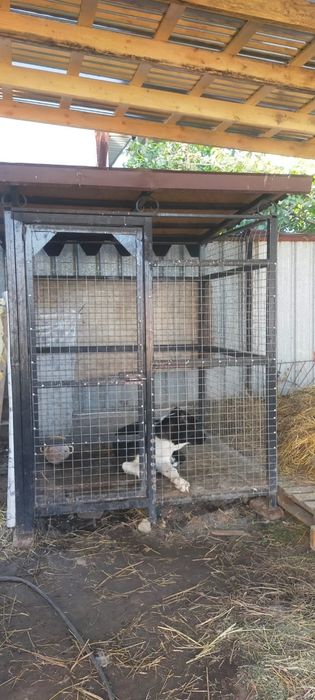 Продам валеер полтора на полтора