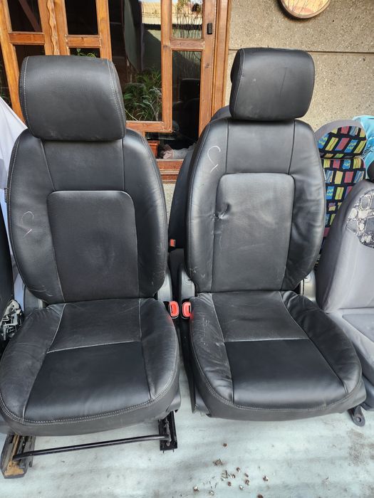 Sideniya kaptiva oldi