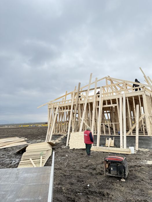 CHERESTEA Toata Raza Brasovului