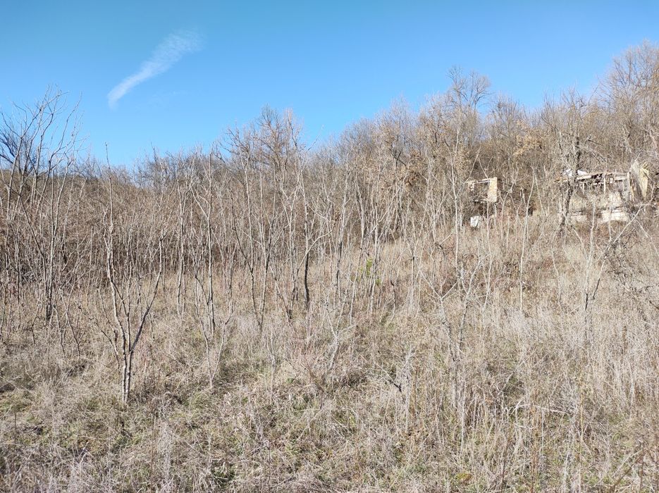 Земеделски имот Шереметя