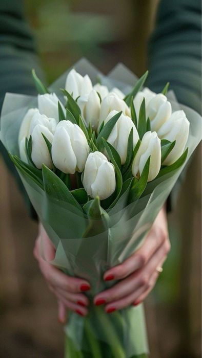 Тюльпаны опт/ розница