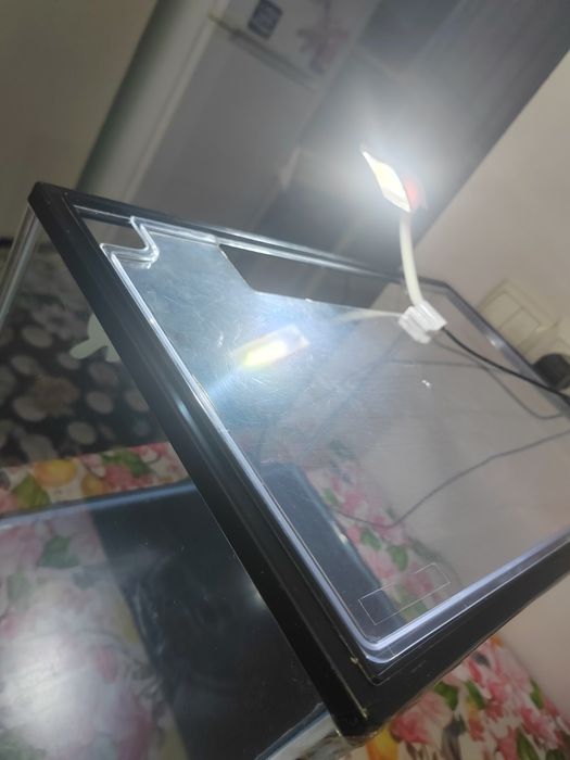 Терариум с ультрафиолетовой лампой. Terarium ultrafiolet cheroq blan