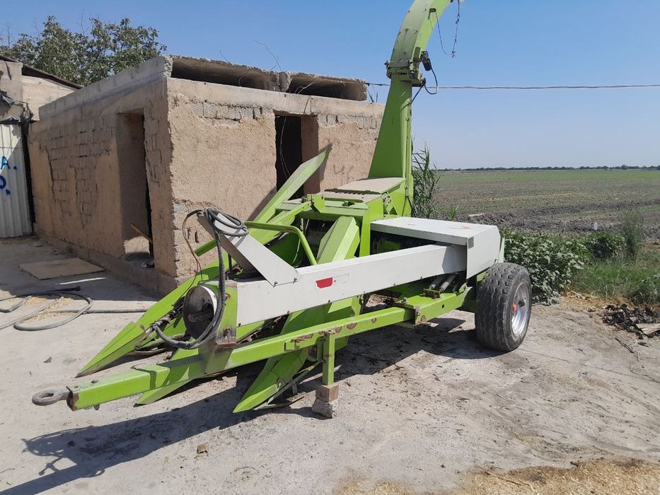 Kulpartura makkajoʻxori oʻradigan