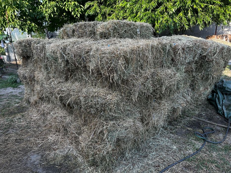 Vând baloți lucernă