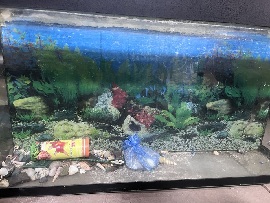 Аквариум в отличном состоянии