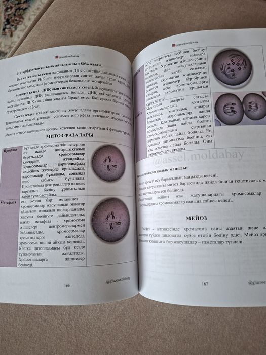 GLUCOSE кітап биология