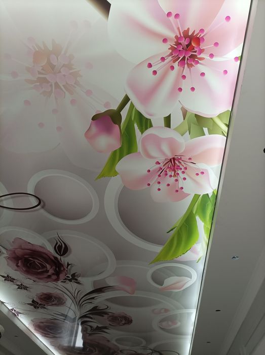 Широкий ассортимент натяжной Паталок хизмати