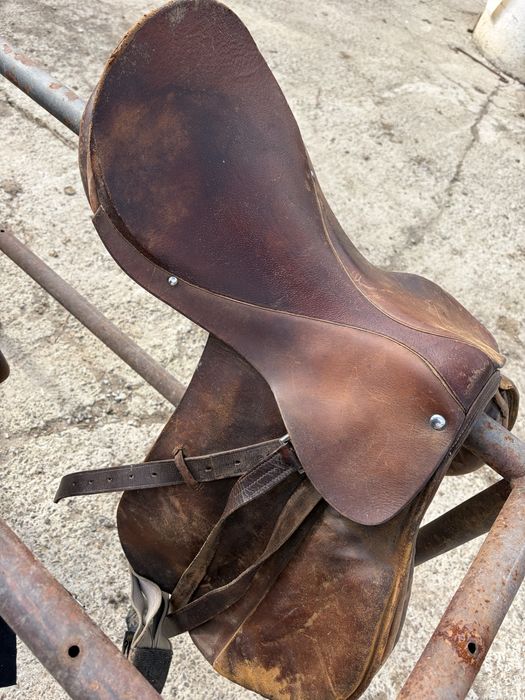 De vânzare, şei de echitație!