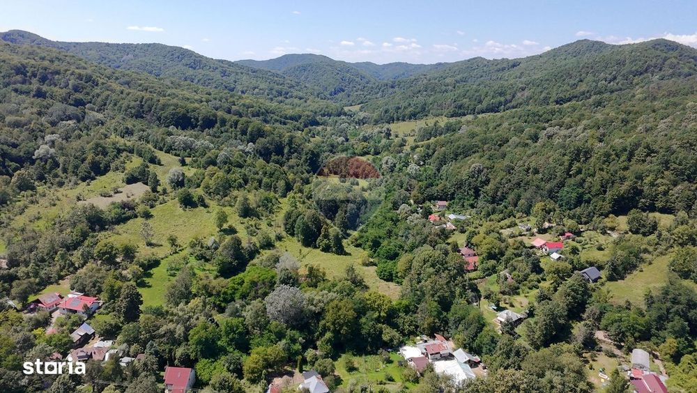 Teren Intravilan 8.277 mp Provița de Jos – Utilități, Râu & Pădure