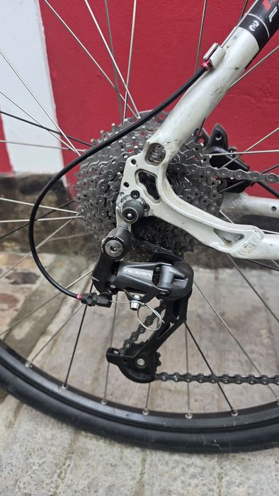 Bicicleta Focus Black Rider Roti  29"