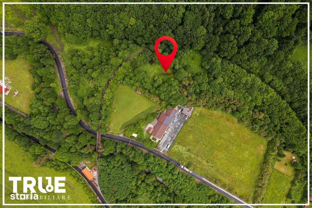 Teren intravilan 2.800 m² în Câmpu Cetății – liniște și natură