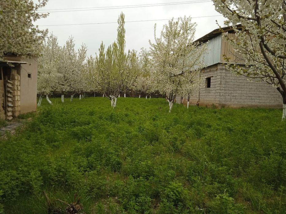 Продается земельный участок,для Дачи самое то.