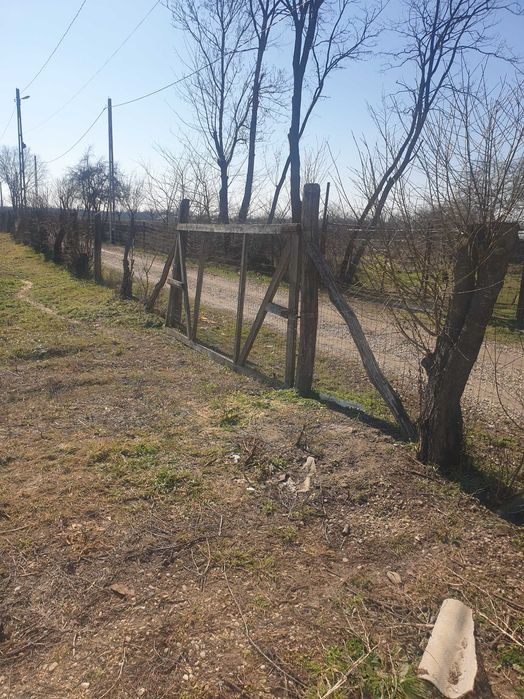 Teren 3 loturi BOLOVANI