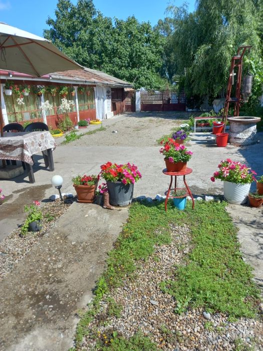 Vand Casa sat Greci comuna Osica de Sus