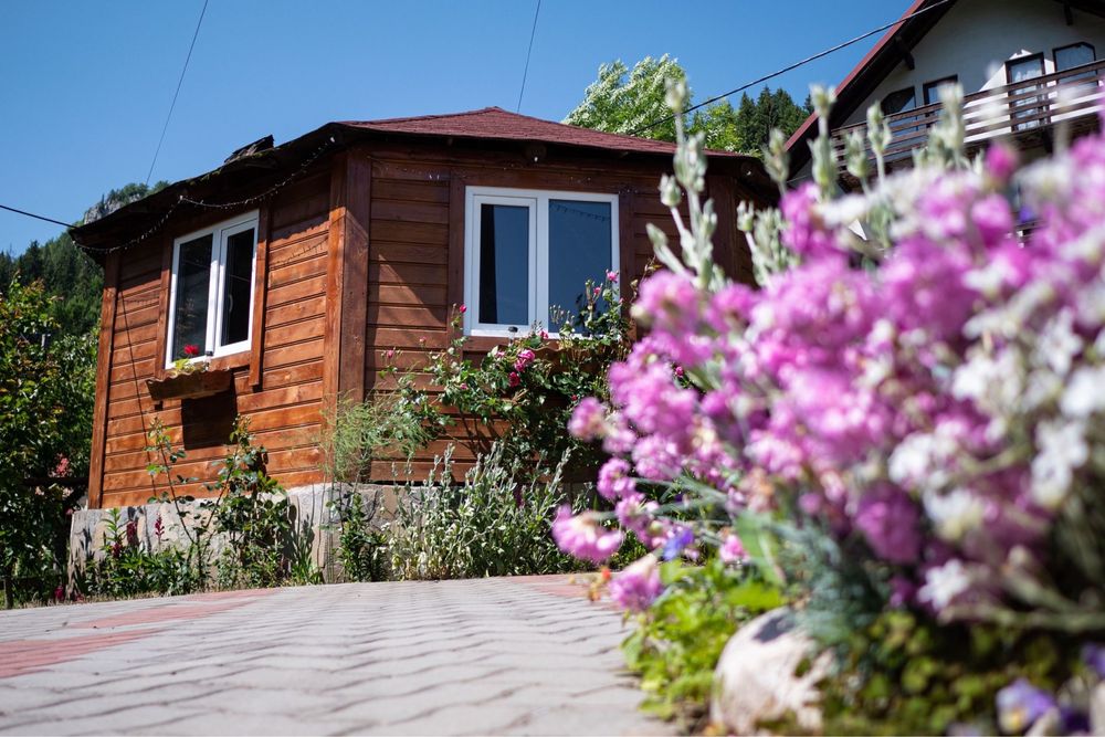 Transylvania Hut - pensiune in Moieciu de Sus
