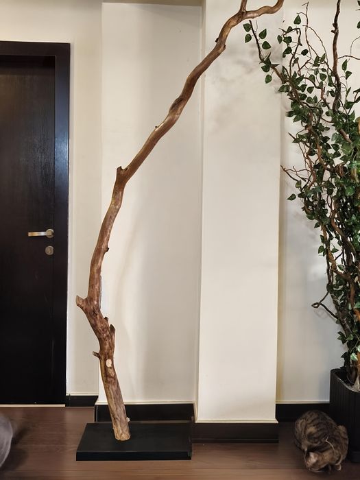 Lampa din lemn natural