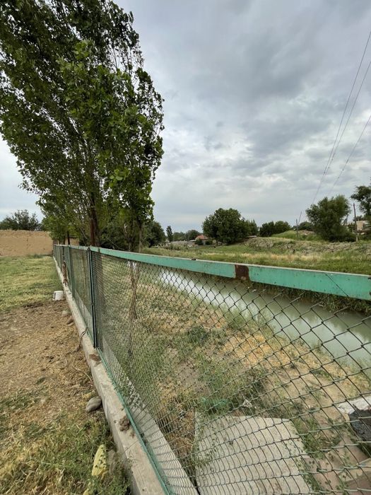 Tolabeda joylashgan 8 sotik yer