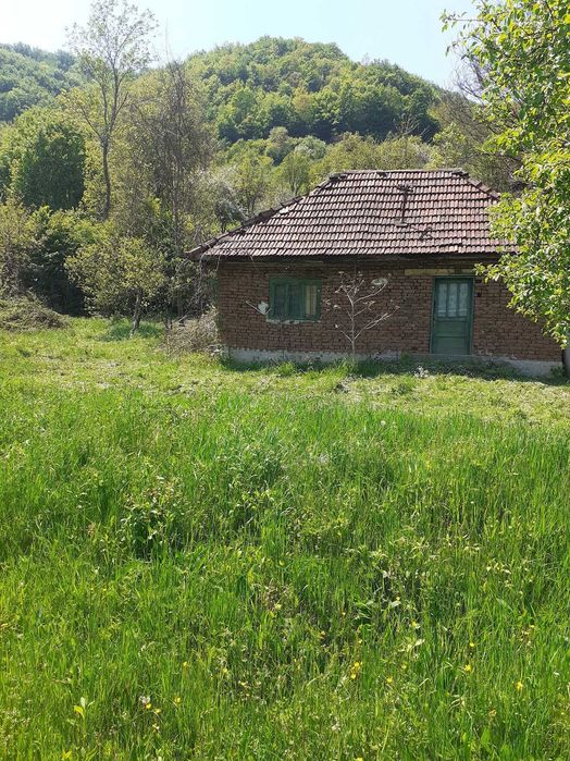 Casa de vanzare, teren si padure