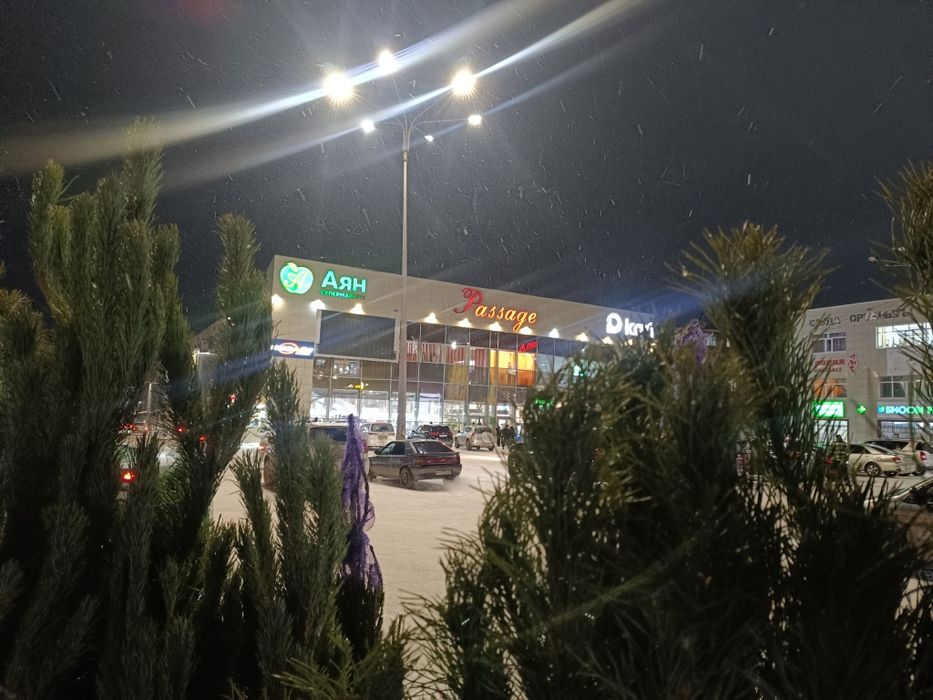 Ёлки ,Сона ,ель,пихта,новогодние