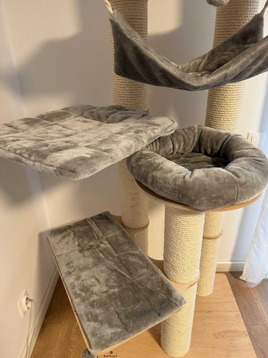 Natural Paradise Amaryllis ansamblu inalt pisici