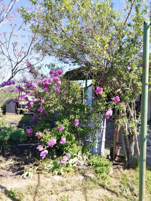 Продава се Парцел в Бургас, Братя Миладинови - 2000 кв.м за 8 €/кв.м - Снимка #2