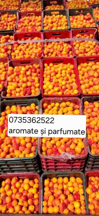 Caise numai bune de pus la butoi