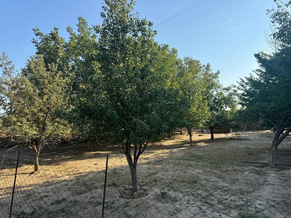 Участка сотилади, 10сотик