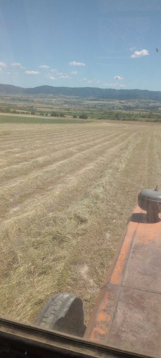 Baloti fan si lucerna