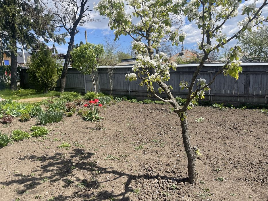 Casa cu etaj com Gropnita sat Bulbucani