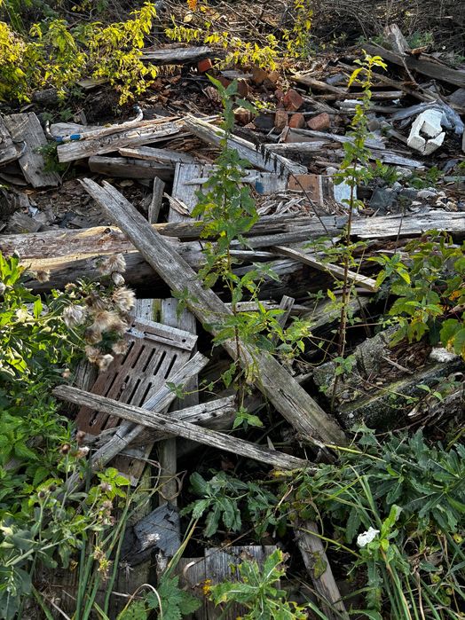 Доски даром. Белый луг