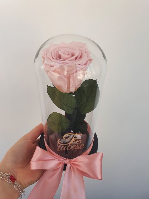 Trandafir criogenat 18 cm