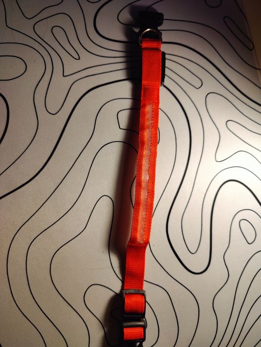 Светящиеся ошейники для собак