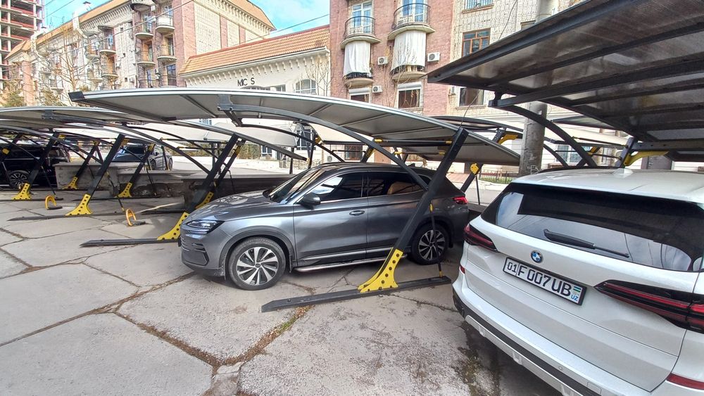 Byd champion Gibrid 2024 navarot