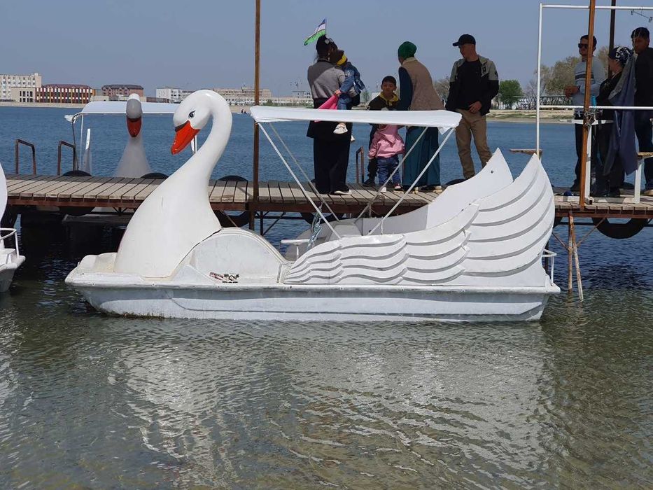 Katamaran. Oqqush katamaran